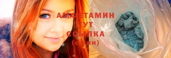 твердый Новозыбков