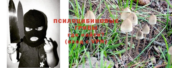 каннабис Новодвинск
