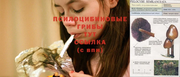 твердый Новозыбков